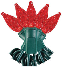 Load image into Gallery viewer, Home Accents Holiday 50 LED RED C3 Lights - Super Bright - Continuous ON