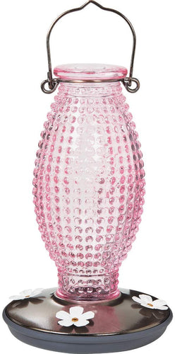 Humbird%2bFdr%2bCrnbrry%2b16oz