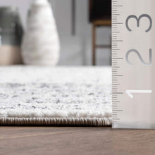 Load image into Gallery viewer, nuLOOM Minta Vintage Area Rug