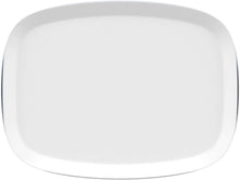 Load image into Gallery viewer, OxiClean Versatile Stain Remover Powder, 5 lbs.