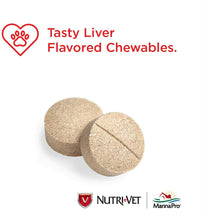 Load image into Gallery viewer, Nutri-Vet Asprin Chewables for Large Dogs | Relieves Pain and Inflamation | 75 Count