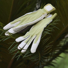 Load image into Gallery viewer, Worth Garden Upgraded &amp; Durable Garden/Outdoor Gloves - Cotton Knitted Fabric - Leather Work Glove - 3 Year Guarantee