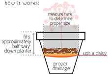 Load image into Gallery viewer, Bloem Ups-A-Daisy Round Planter Lift Insert (T6328), Orange, 18&quot;