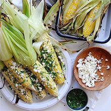 Load image into Gallery viewer, Chinet Classic White Paper Dinner Plates, 10 3/8&quot;, 165 Count