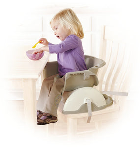 Fisher-Price Newborn Rock 'n Play Sleeper