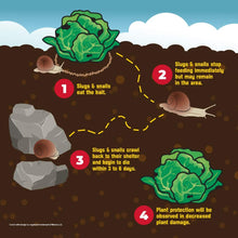 Load image into Gallery viewer, Corry&#39;s 100511427 Slug and Snail Killer, 1.75 lb