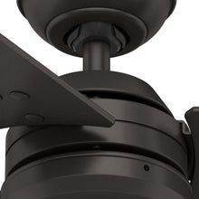 Load image into Gallery viewer, Hunter Hunter