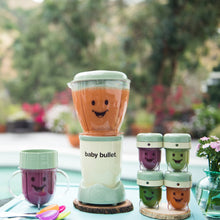 Load image into Gallery viewer, Magic Bullet Baby Bullet Baby Care System