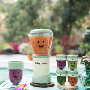 Magic Bullet Baby Bullet Baby Care System