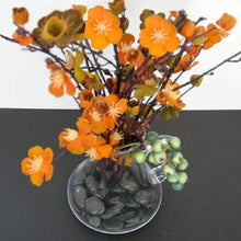 Load image into Gallery viewer, Mosser Lee 1160 Decorative Polished Stones, White, 5-Pound