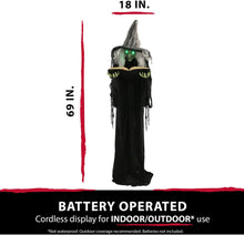 Load image into Gallery viewer, Haunted Hill Farm HHWITCH-9FLS Life-Size Animatronic Witch, Indoor/Outdoor Halloween Decoration, Multi