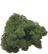 Load image into Gallery viewer, Mosser Lee Reindeer Moss