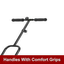 Load image into Gallery viewer, Chapin 8701B Garden Push seeder With 6 Seed Plates for Up to 20 Varieties Of Seeds, (1 Garden Seeder/Package)