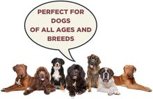 Load image into Gallery viewer, Gentle Giants Natural Dog Food