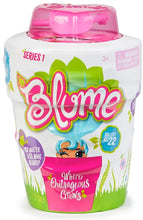 Load image into Gallery viewer, Blume