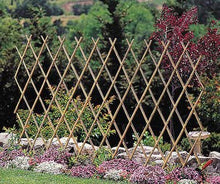 Load image into Gallery viewer, Expandable Bamboo Poles Trellis with Aluminum Rivets
