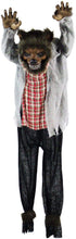 Load image into Gallery viewer, Haunted Hill Farm HHWOLF-1FLSA Life-Size Animatronic Werewolf, Indoor/Outdoor Halloween Decoration, Multi
