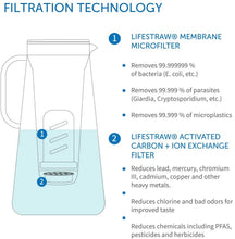 Load image into Gallery viewer, LifeStraw Home Water Filter Pitcher Tested to Protect Against Bacteria, Parasites, Microplastics, Lead, Mercury, and a Variety of Chemicals
