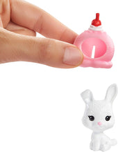 Load image into Gallery viewer, Barbie Club Chelsea Dress-Up Doll, 6-inch Blonde in Ice Cream Costume with Pet Bunny and Accessories, Gift for 3 to 7 Year Olds