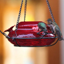 Load image into Gallery viewer, Nature's Way Bird Products MHF4 Garden Top Fill Hummingbird Feeder, 16 oz Capacity, Red