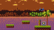 Load image into Gallery viewer, Sonic Mania PS4