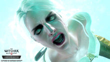 Load image into Gallery viewer, The Witcher 3: Wild Hunt - [Twister Parent]