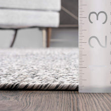 Load image into Gallery viewer, nuLOOM Wynn Braided Indoor/Outdoor Area Rug
