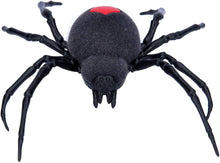 Load image into Gallery viewer, Robo Alive Crawling Spider Battery-Powered Robotic Toy by ZURU