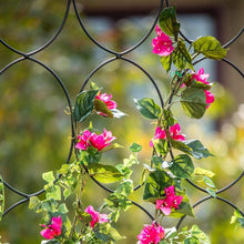 Load image into Gallery viewer, Vigoro 72 in. Geometric Trellis