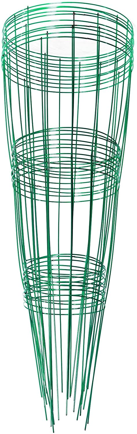 Glamos 10-Pack Blazing Gemz Plant Support, 12 by 33-Inch