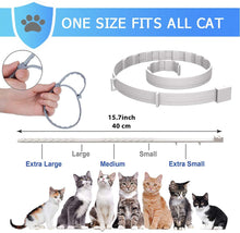 Load image into Gallery viewer, Halo Holistic Grain Free Natural Dry Cat Food for Indoor Adult Cats