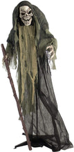 Load image into Gallery viewer, Haunted Hill Farm HHSKEL-2FLS Life-Size Animated Talking Skeleton Prop w/Moving Mouth, Battery-Operated Indoor/Outdoor Halloween Decoration, Color 1