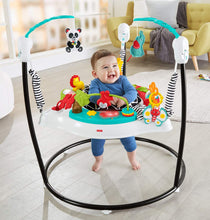 Load image into Gallery viewer, Fisher-Price Animal Wonders Jumperoo, White