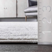 Load image into Gallery viewer, nuLOOM Arlena Vintage Area Rug