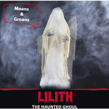 Load image into Gallery viewer, Haunted Hill Farm HHCAGE-1H Life-Size Cage, Color 1