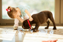 Load image into Gallery viewer, Poof Bean Pet Activity Tracker