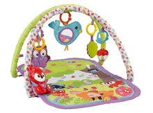 Load image into Gallery viewer, Fisher Price 3-in-1 Musical Activity Gym