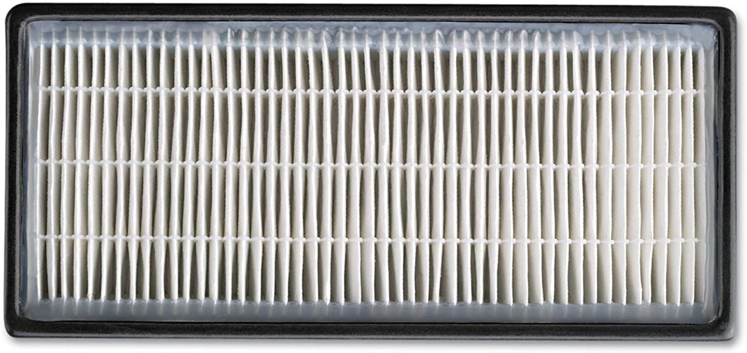 HEPAClean Replacement Filter, 2/Pack