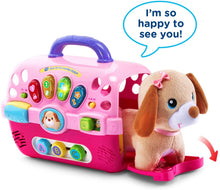 Load image into Gallery viewer, VTech Care for Me Learning Carrier Toy
