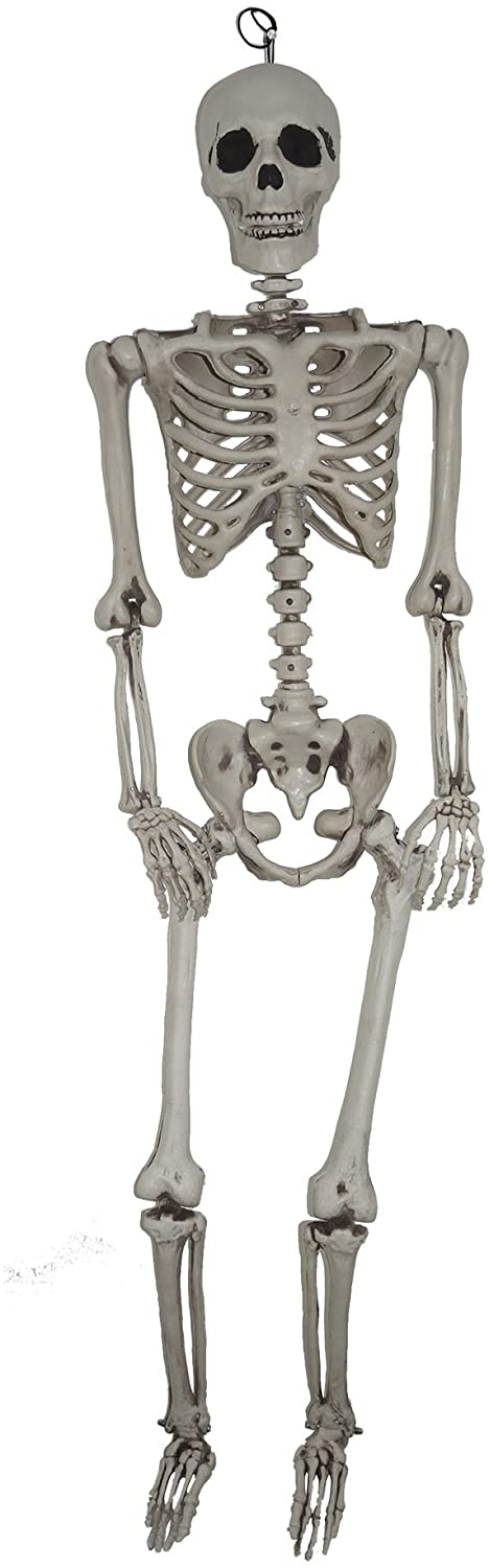5ft Hanging Skeleton Prop