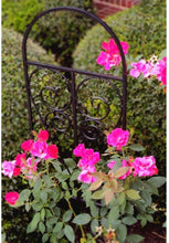 Load image into Gallery viewer, Vigoro 48 in. Metal Pot Trellis