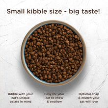 Load image into Gallery viewer, Rachael Ray Nutrish Super Premium Dry Cat Food, SuperFood Blends