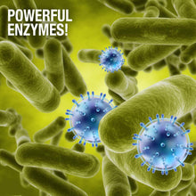 Load image into Gallery viewer, Green Gobbler SYNCHKG121210 BIO-Flow Strips-12 (Drain Cleaner &amp; Deodorizer), 12 Pac