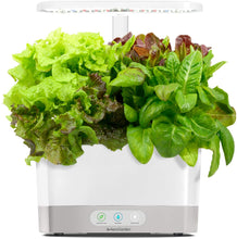 Load image into Gallery viewer, AeroGarden White Harvest Indoor Hydroponic Garden