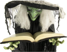 Load image into Gallery viewer, Haunted Hill Farm HHWITCH-9FLS Life-Size Animatronic Witch, Indoor/Outdoor Halloween Decoration, Multi