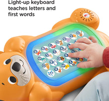 Load image into Gallery viewer, Fisher-Price Linkimals A to Z Otter - Interactive Educational Toy with Music and Lights for Baby Ages 9 Months &amp; Up, Multicolor