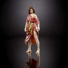 Load image into Gallery viewer, Hasbro Ghostbusters Plasma Series Dana Barrett Toy 6-Inch-Scale Collectible Classic 1984 Ghostbusters Action Figure, Toys for Kids Ages 4 and Up