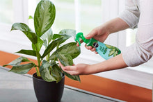 Load image into Gallery viewer, Miracle-GRO VB02194, 8 oz, 2-Pack Leaf Shine, 1 Pack,