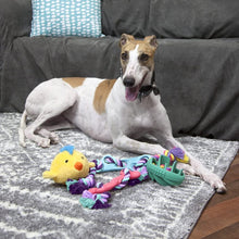 Load image into Gallery viewer, Play King Holiday Dog Squeaky Toy, Dog Toys, Play Toys