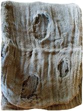 Load image into Gallery viewer, Morris Costumes Freaky Fabric